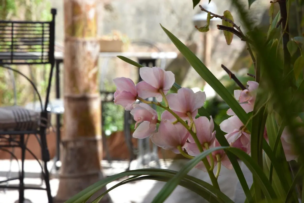 Ecocirer Healthy Stay Soller 4*,  Spain